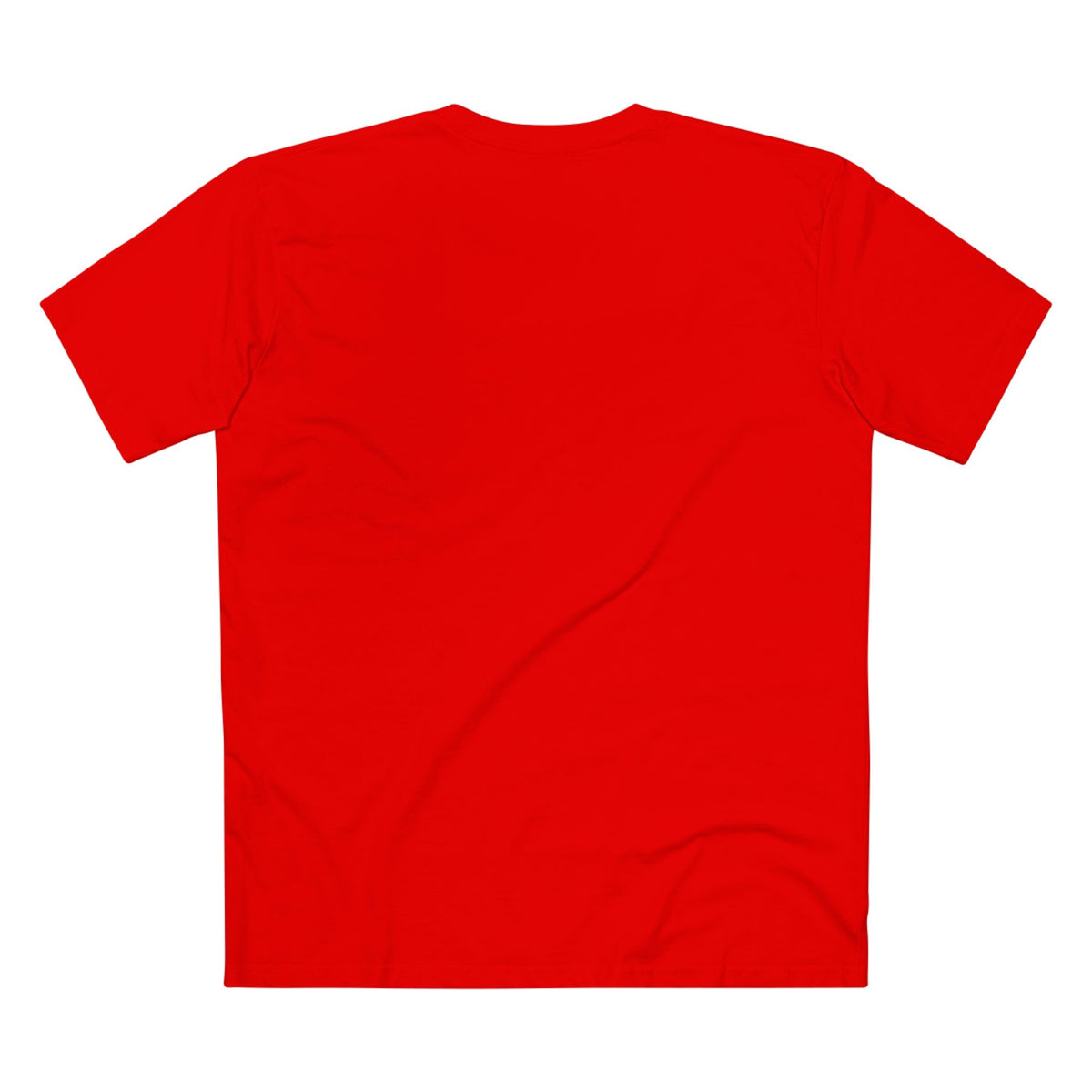 Succulent Christmas Meal Tee